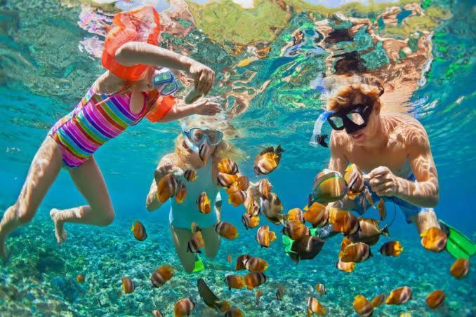Bleu Verde, The Secret Garden - Turtle Point Beach Гили Траванган Экстерьер фото